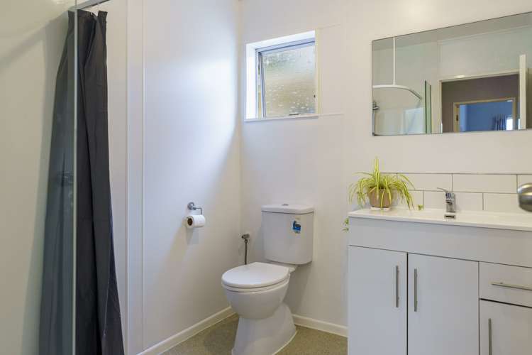 42 Wynyard Crescent Tamatea_8