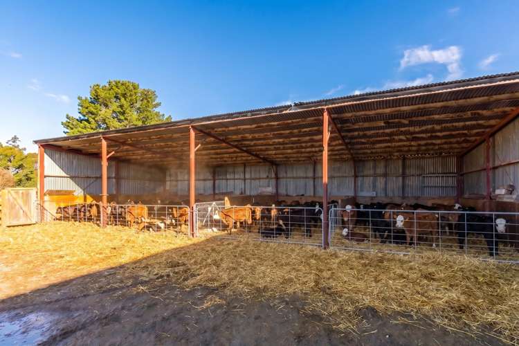 30 Dorset Road Carterton_4
