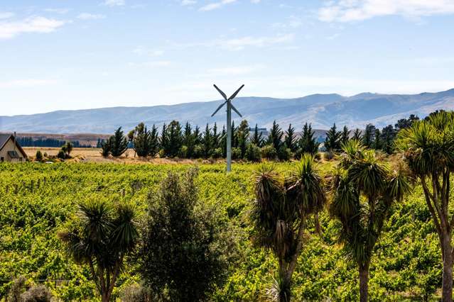 413 Maori Point Road Tarras_2