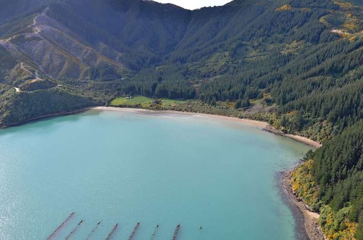 465 Tumbledown Bay Road Port Underwood_5