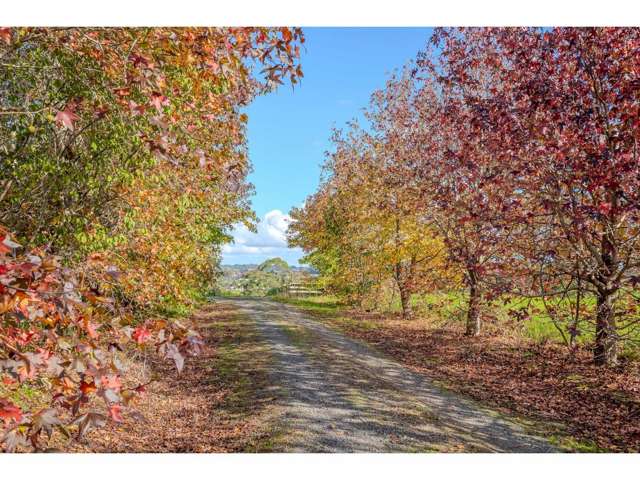Lot 2/390 Kapiro Road Kerikeri_2