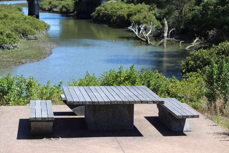 54 Tamora Lane Avondale_15