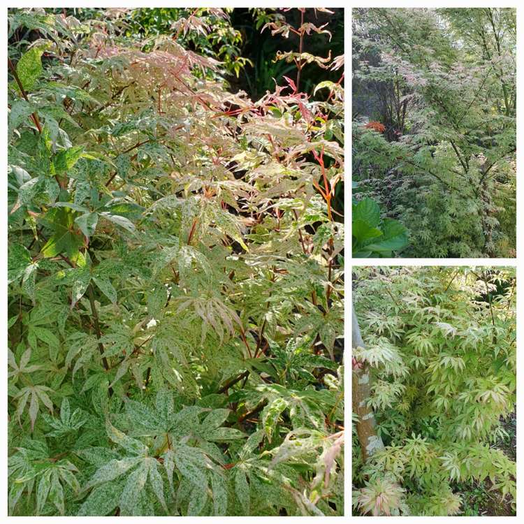 128E Mauku Road Patumahoe_34