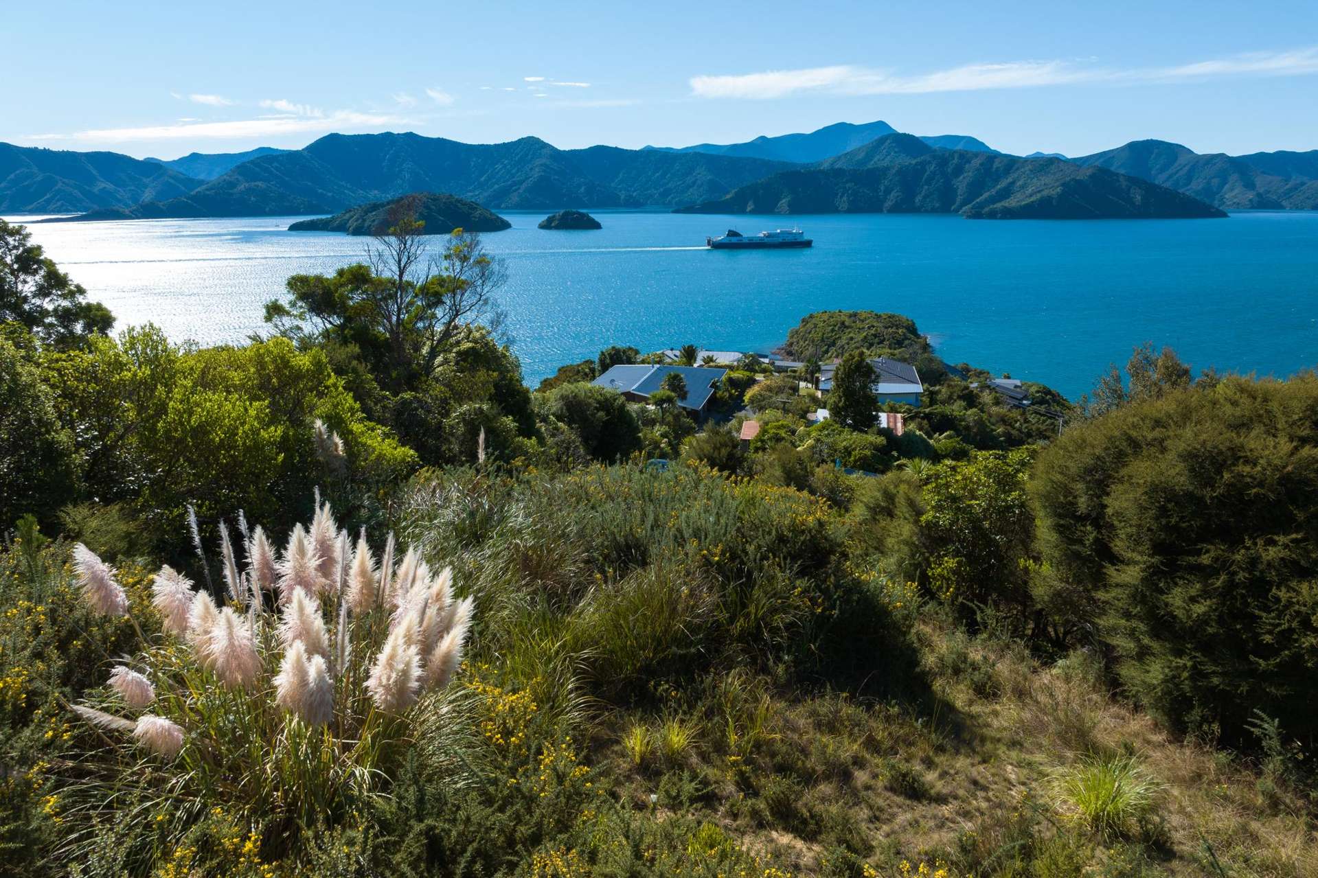 318 Port Underwood Road Waikawa_0