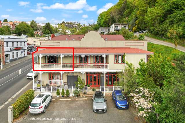 21a Clark Street Dunedin Central_2