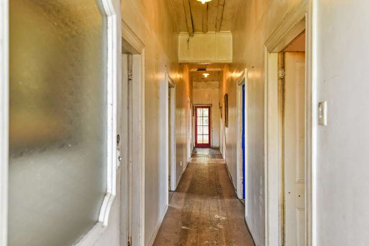 19 Woodhams Street Beach Haven_5