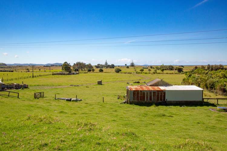 1905 Pataua North Road Pataua_10