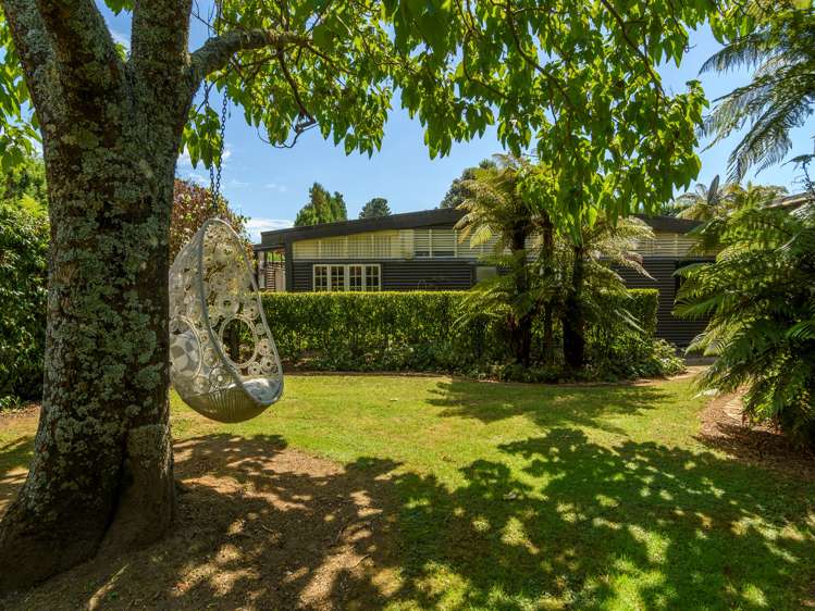 84 Plummer Road Whakamarama_21