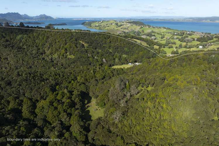 723B Whangarei Heads Road Parua Bay_26