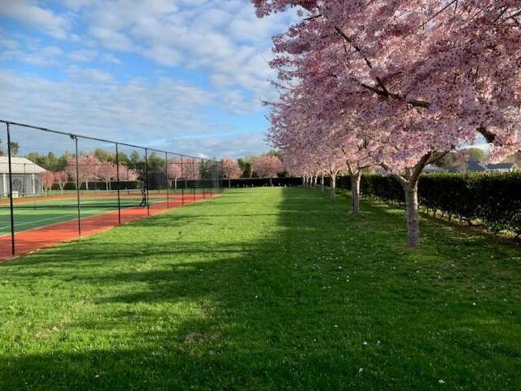 8 Hodge Drive Tamahere_34