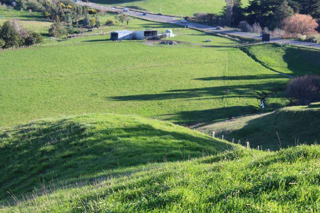 75647 State Highway 2 Norsewood_1