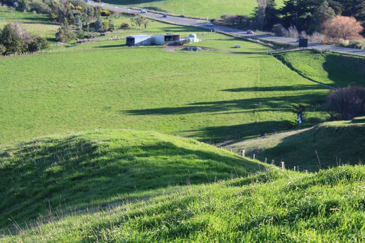 75647 State Highway 2 Norsewood_1