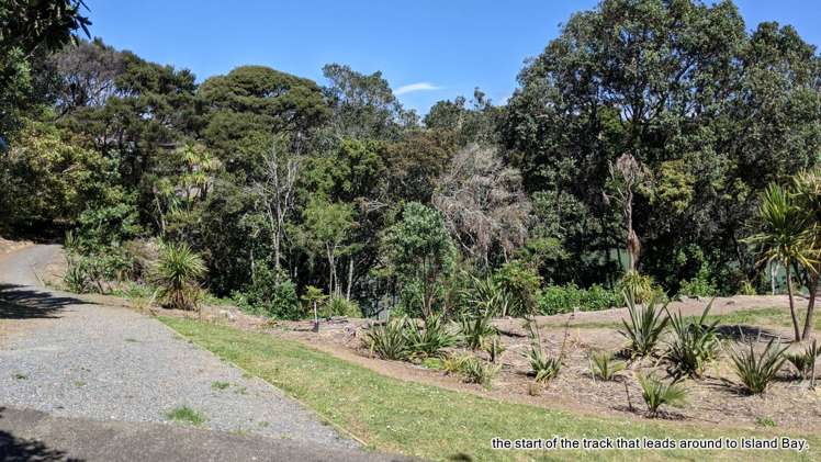 3 Poaka Place Beach Haven_28