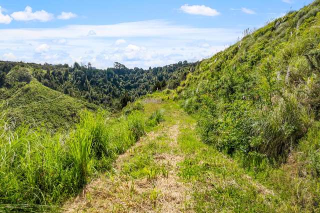 Dream Big: Puhoi Hilltop Haven