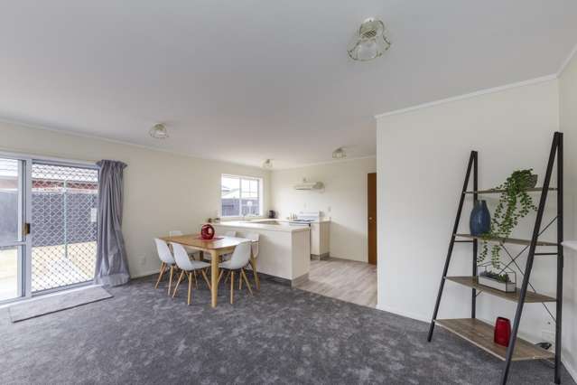 5b Carroll Street Palmerston North Central_3