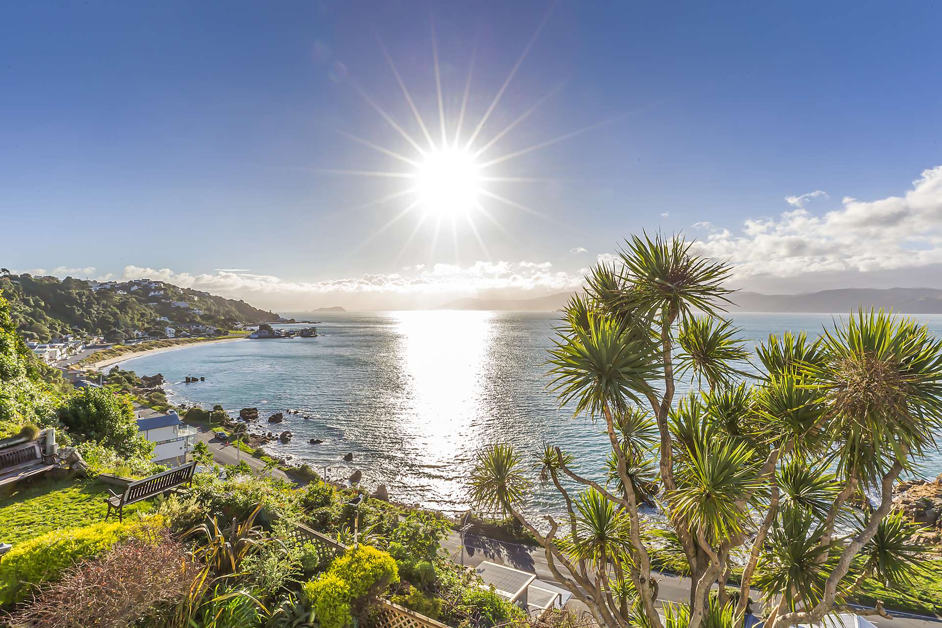 8 Beere Haven Steps Seatoun_0