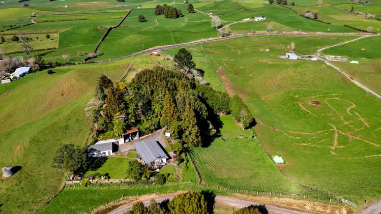 821 Tariki Road Ratapiko_16