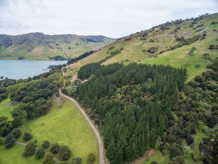 231 Holmes Bay Road Pigeon Bay_24