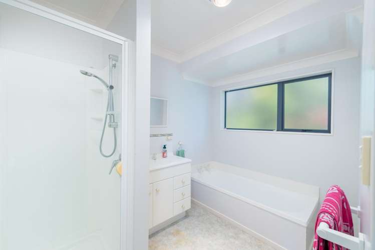 9 Emerald Hill Drive Birchville_13