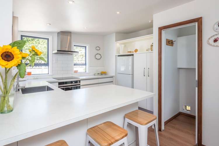 48 Darlington Road Miramar_7