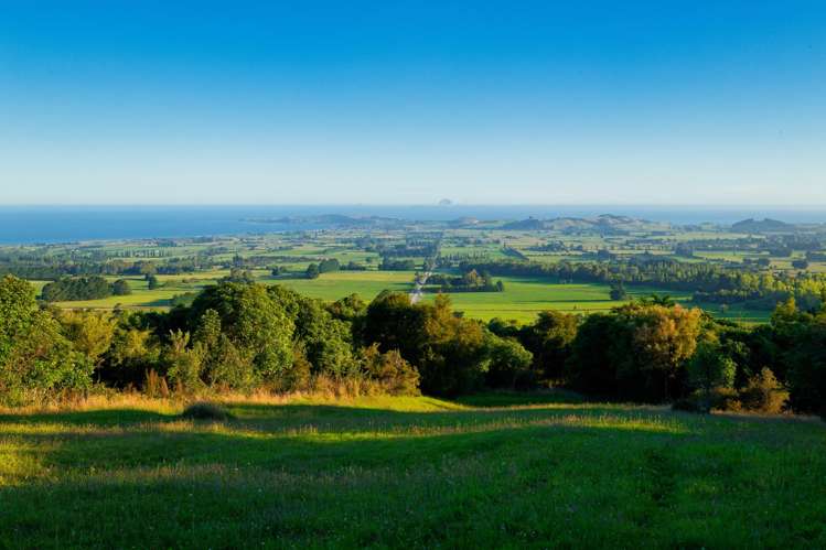 759 Mount Fyffe Road Kaikoura Flat_15