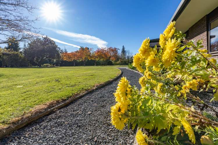 296 O'Roarkes Road Fernside_32