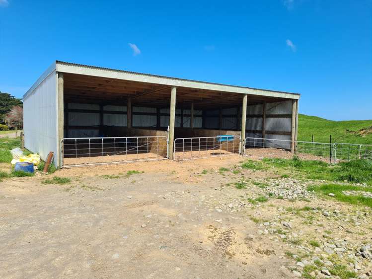 523/593 Warea Road Warea_14