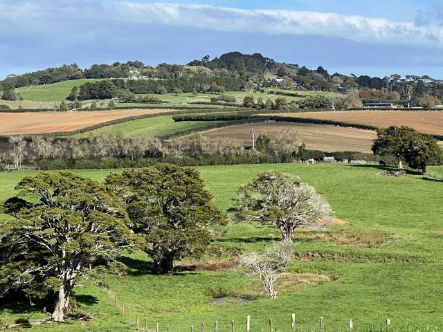 678 Waiuku Road Mauku_3