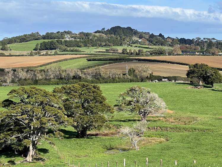 678 Waiuku Road Mauku_3