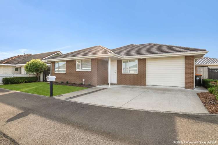 24A Rata Street_0