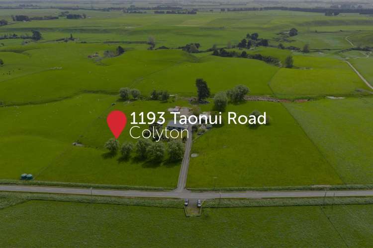 1193 Taonui Road_0