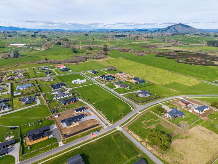 733 Collinson Street Pirongia_47