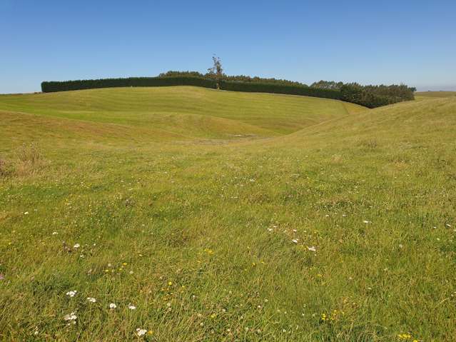 Ardgowan Road Oamaru_4