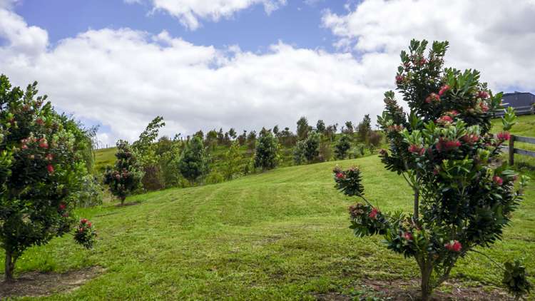 683 Back Miranda Road Miranda_14