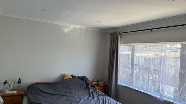 20E Pomaria Road Henderson_4