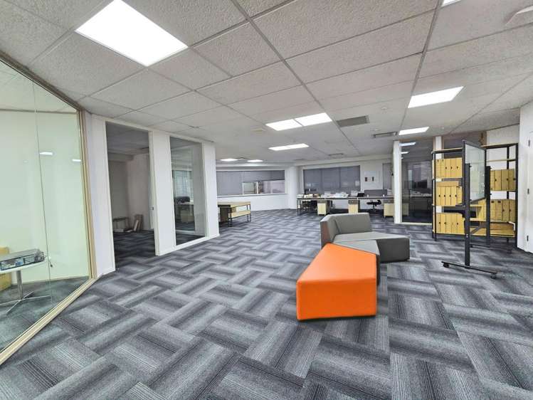 60 Airedale Street Auckland Central_1