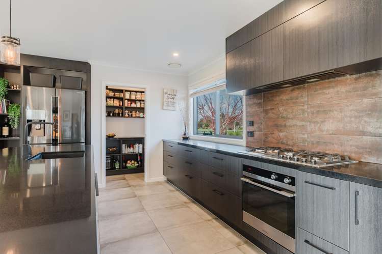 86 Taplin Road Matangi_6