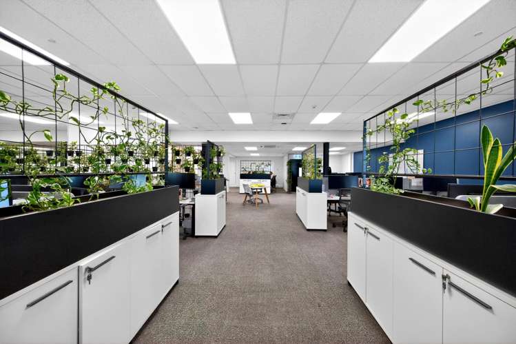 Units 6 and 19/49 Sainsbury Road Mt Albert_5