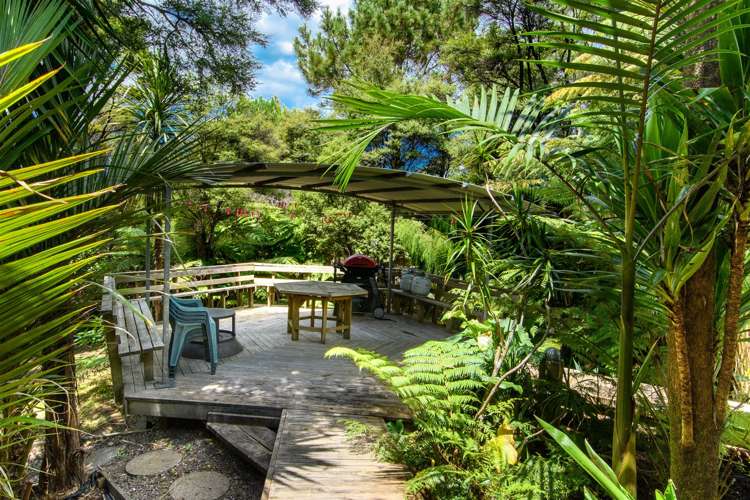 43 Sunnyvale Road Massey_25