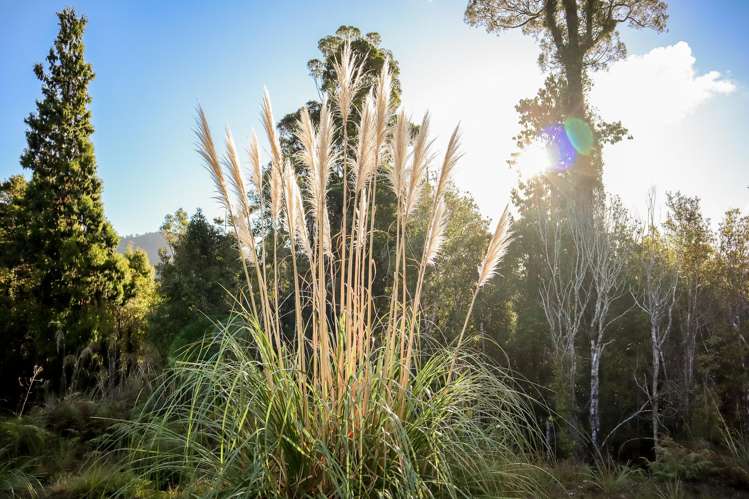 172 Clifton Road Kaiata_24