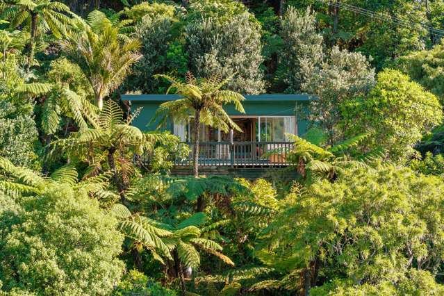 Lot Lot 1/- Blackwood Bay Queen Charlotte Sound_2