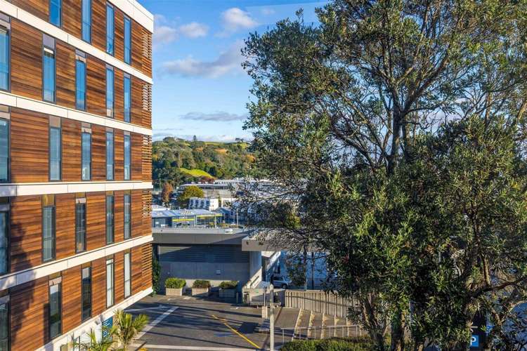 8 Nugent Street Grafton_5