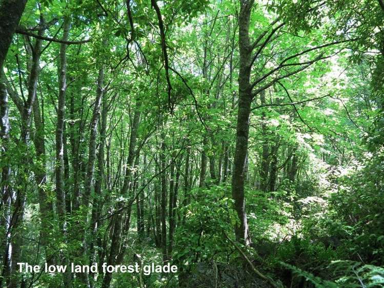 844 East Takaka Road Kahurangi National Park_18