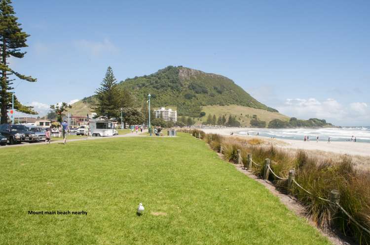 16c May Street Mount Maunganui_15