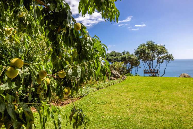 9 Pah Road Onetangi_26