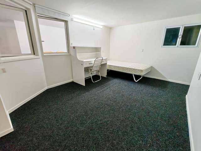 164 Whitney Street Blockhouse Bay_2