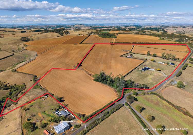 106 Andrews Road Onewhero_43