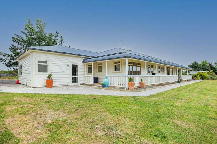 334 Motuiti Road Foxton_17