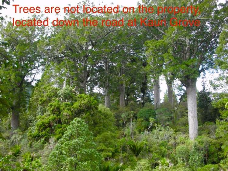 694 The 309 Road, Waiau Coromandel_22