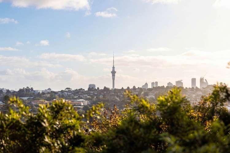 59 Highland Park Drive Highland Park_18